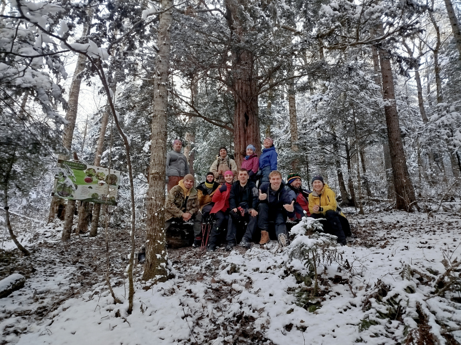 Тот самый мегатисище