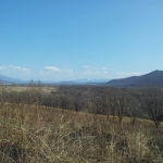 2012-03-31 15.40.34